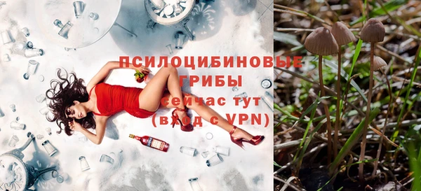 2c-b Баксан