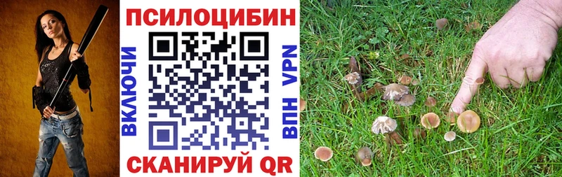 даркнет сайт  Олёкминск  Псилоцибиновые грибы мицелий 